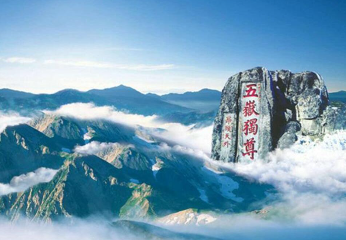 山东省财政厅  关于印发山东省政府集中采购目录及  标准（2024年版）的通知